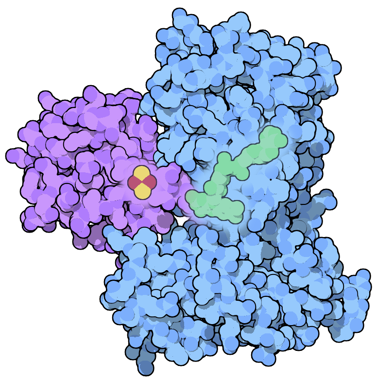 Enzymes