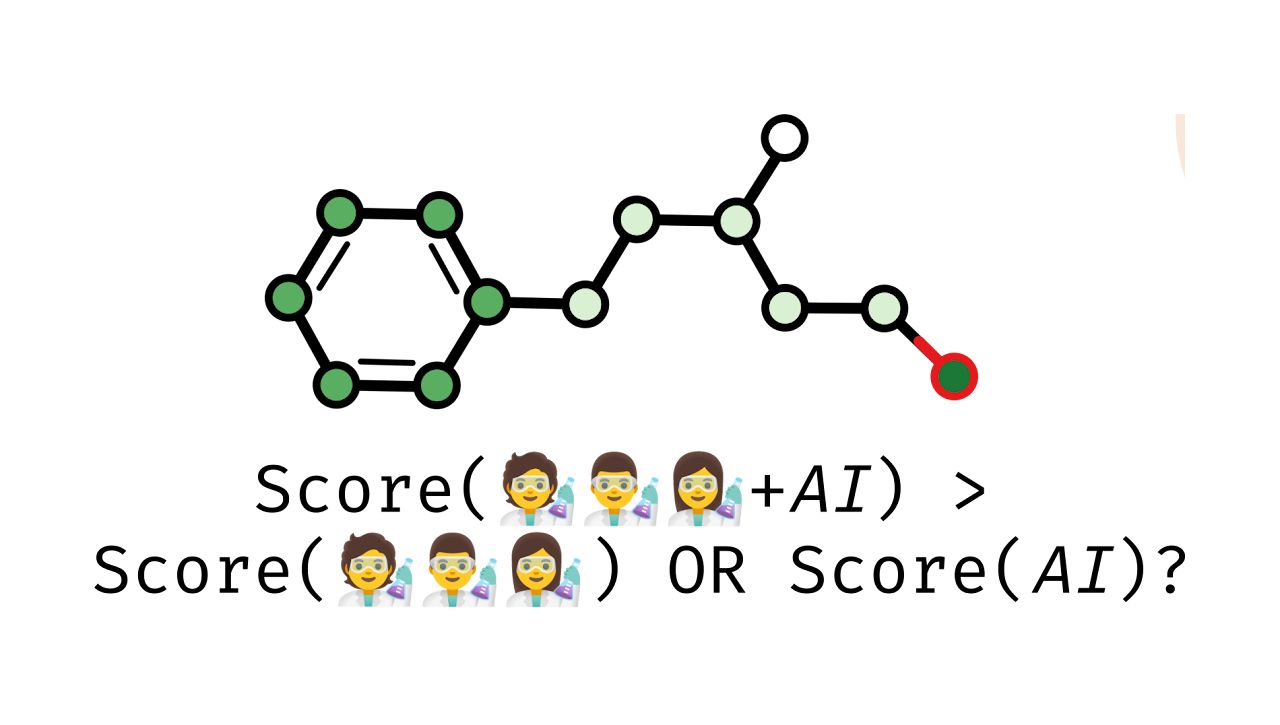 Studying Domain Expert-AI Interactions