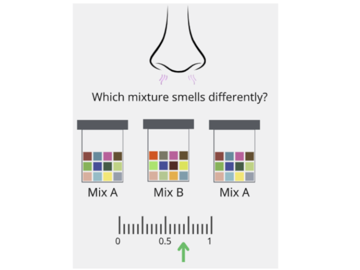 A semantic-based community model for high-fidelity tuning of olfactory mixture distances