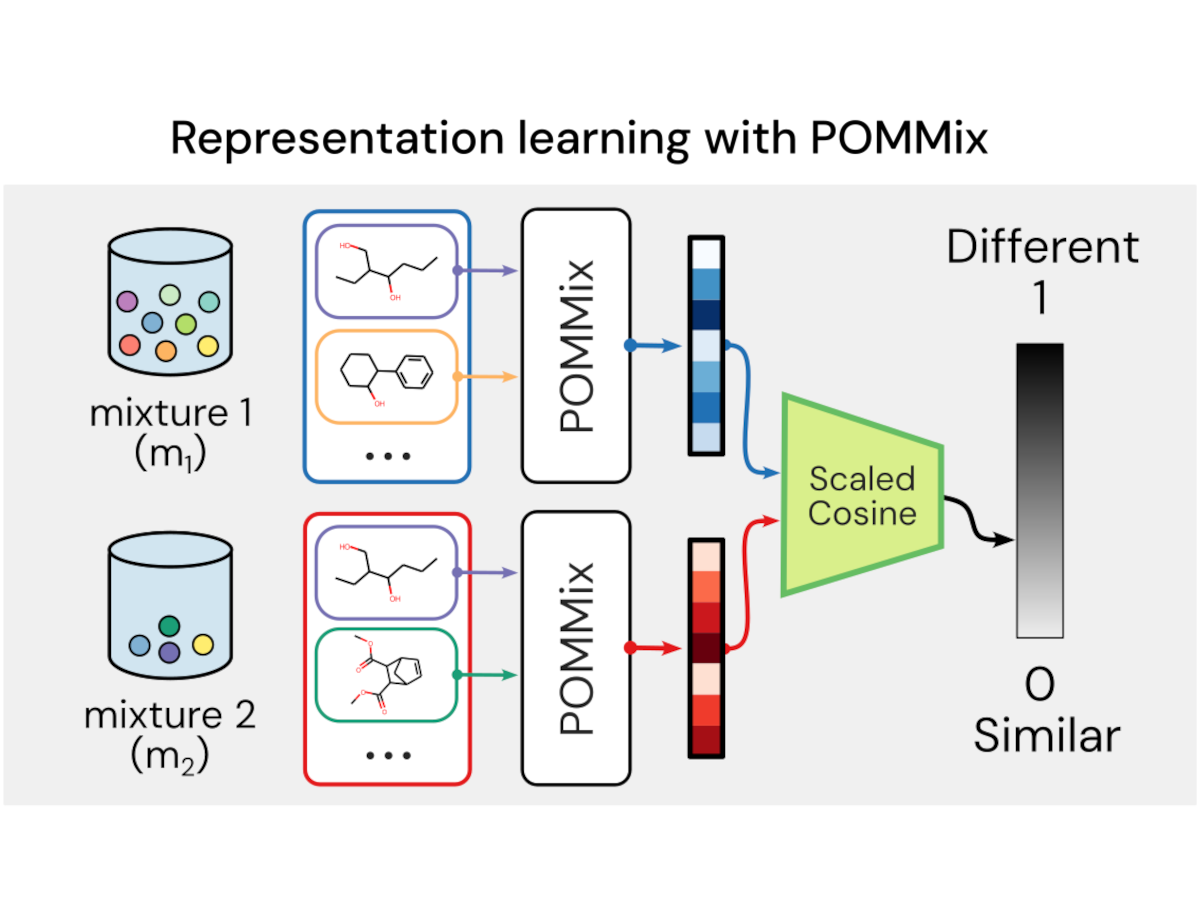 Does this smell the same? Learning representations of olfactory mixtures using inductive biases
